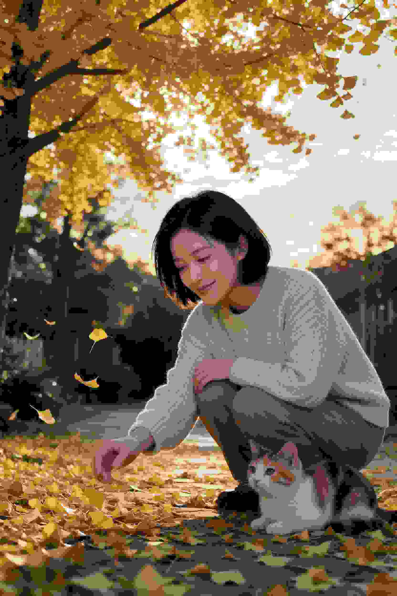 去有风的地方